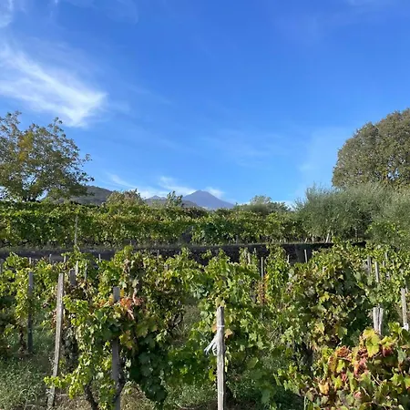 Delightful Luxury With Heated Pool Near Catania, Taormina, The Sea And Mount Etna By Sicilian Relaxing Homes Semesterbostad Giarre